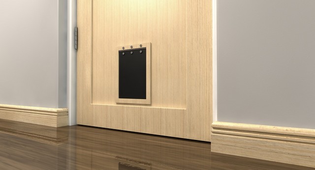 Cat Flap Installation North Watford, WD24