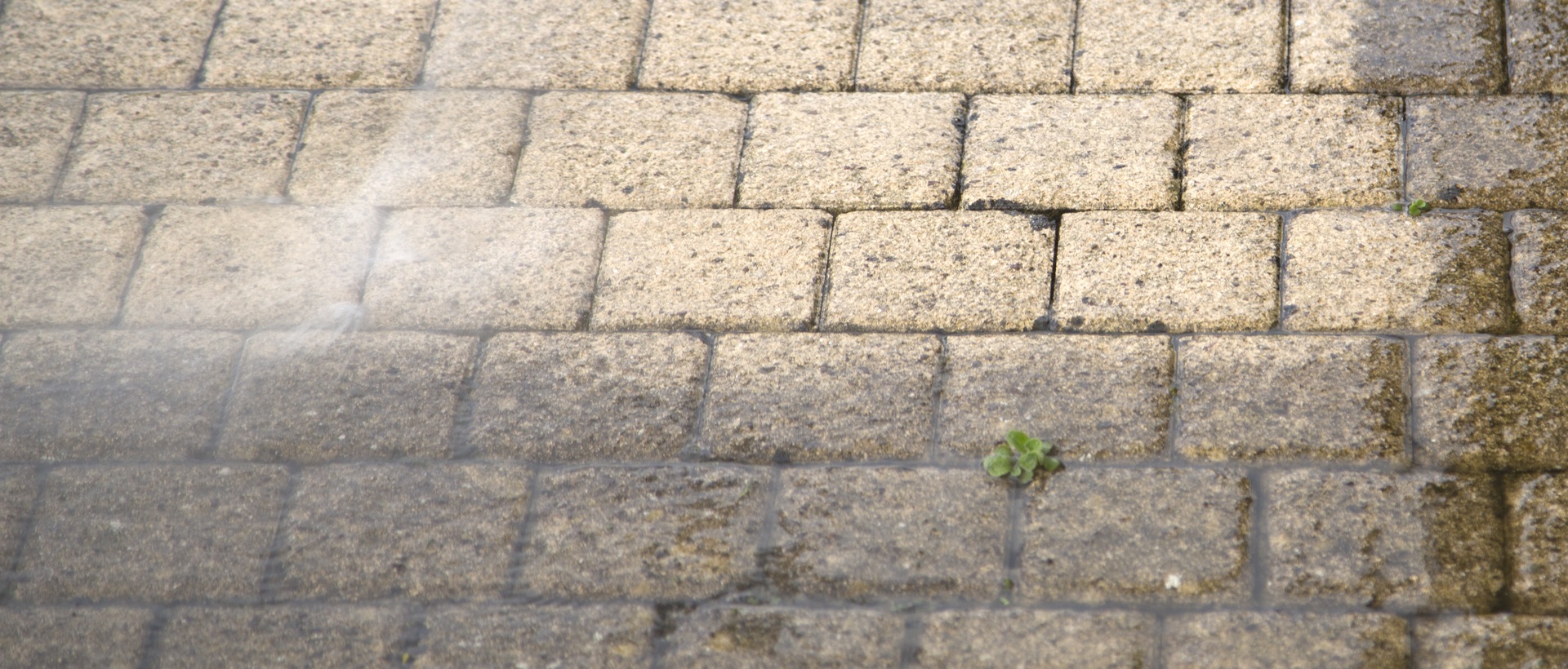 flagging and patios WD24