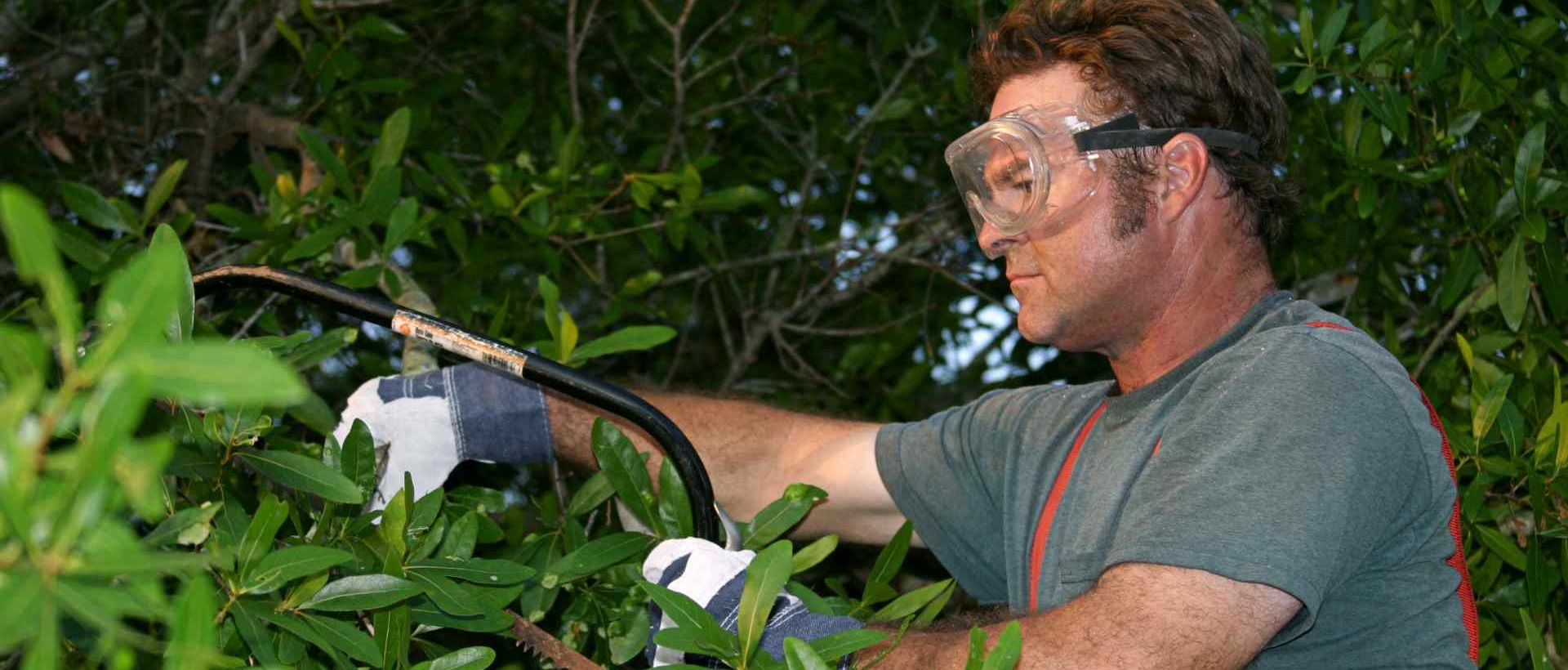 garden clearance WD24